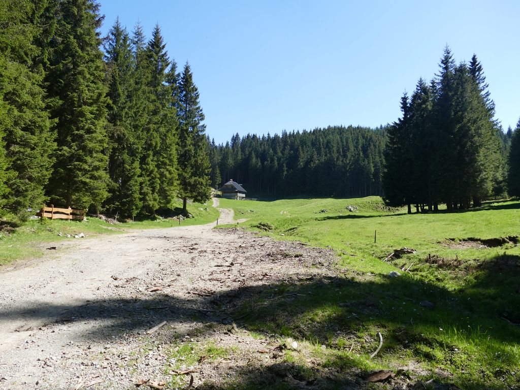 p1470637.jpg