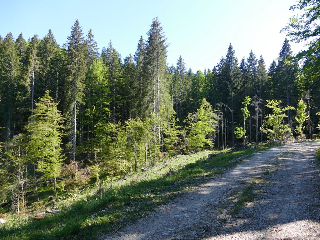 p1470643.jpg