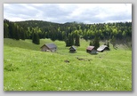 Planina Tamare
