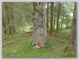 Selška planina
