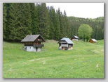 Selška planina
