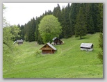 Selška planina