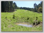 Mošenjska planina