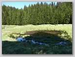 Radovljiška planina