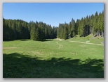 Lipniška planina