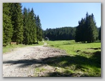 Lipniška planina