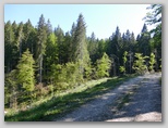 Nekoč je bla tu Poženkova planina, Jelovica