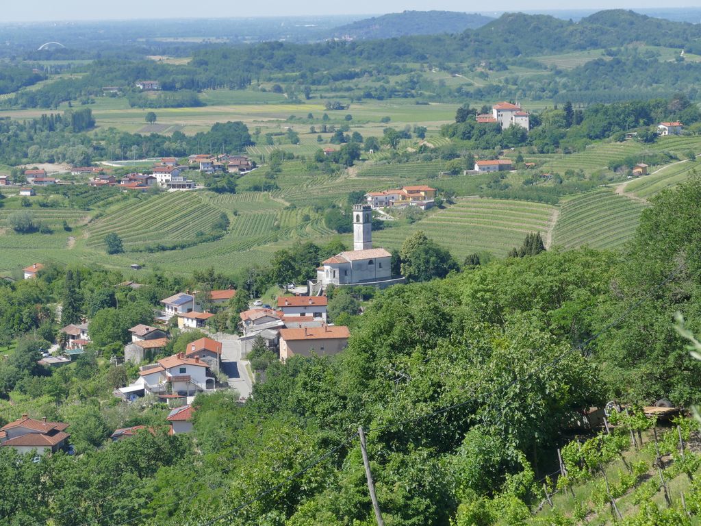 p1470427.jpg