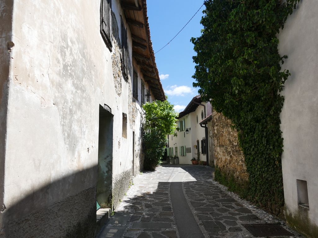 p1470531.jpg