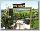 Brda Collio
