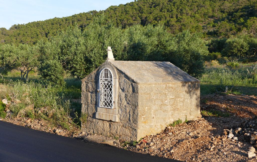 p1480146.jpg