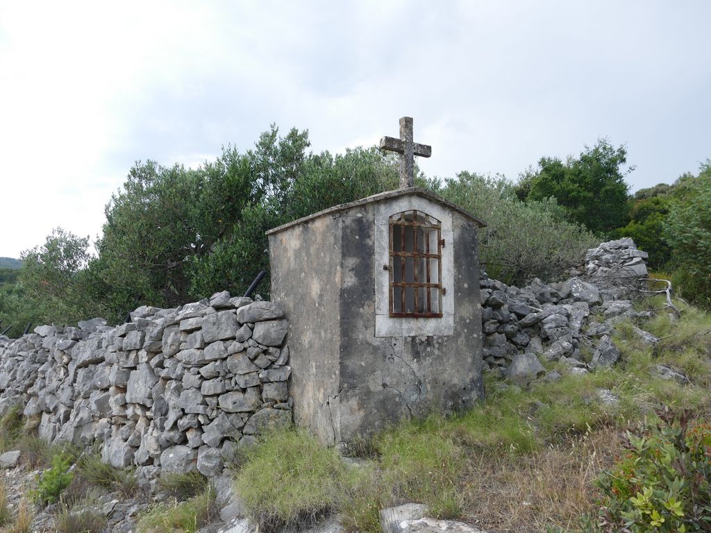 p1480203.jpg