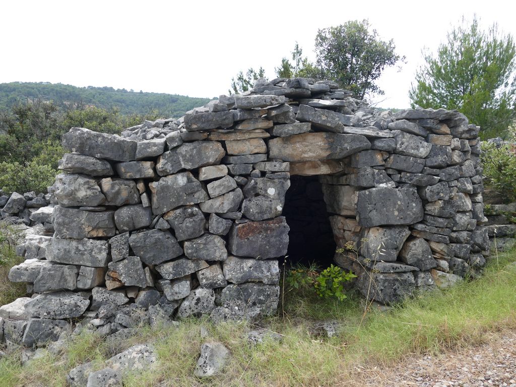 p1480204.jpg