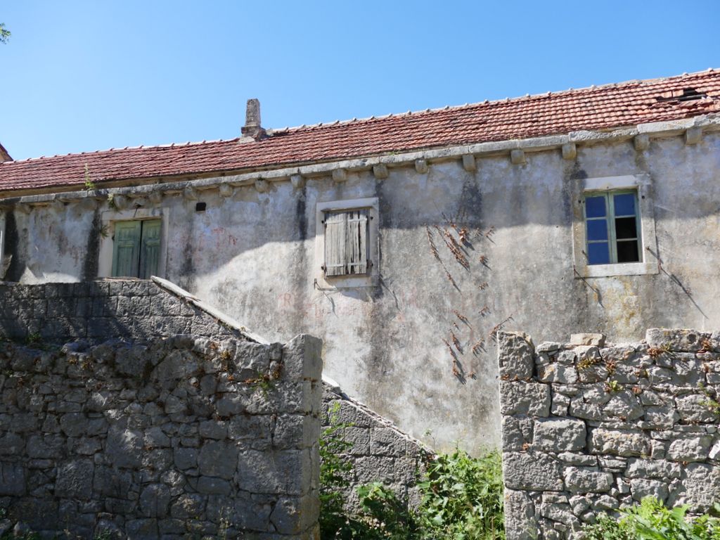 p1480238.jpg
