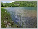 Trnovačko jezero