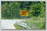 Vrba