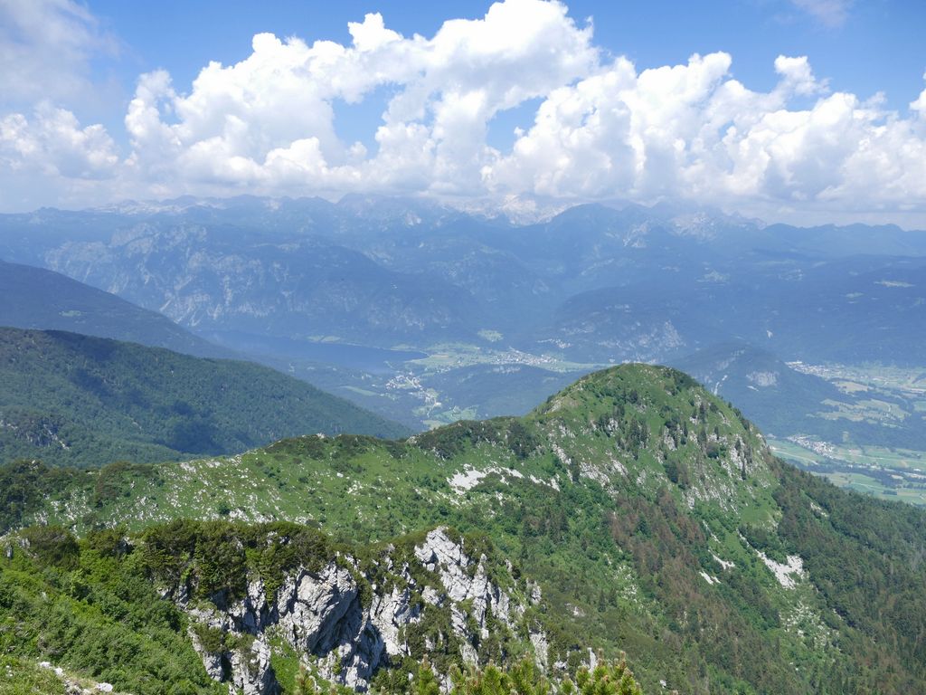 p1480346.jpg