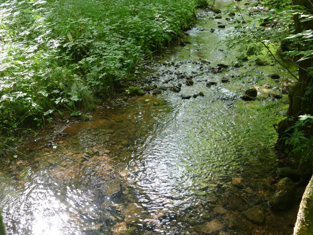 p1480509.jpg