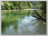 Sava pod Bodeščami