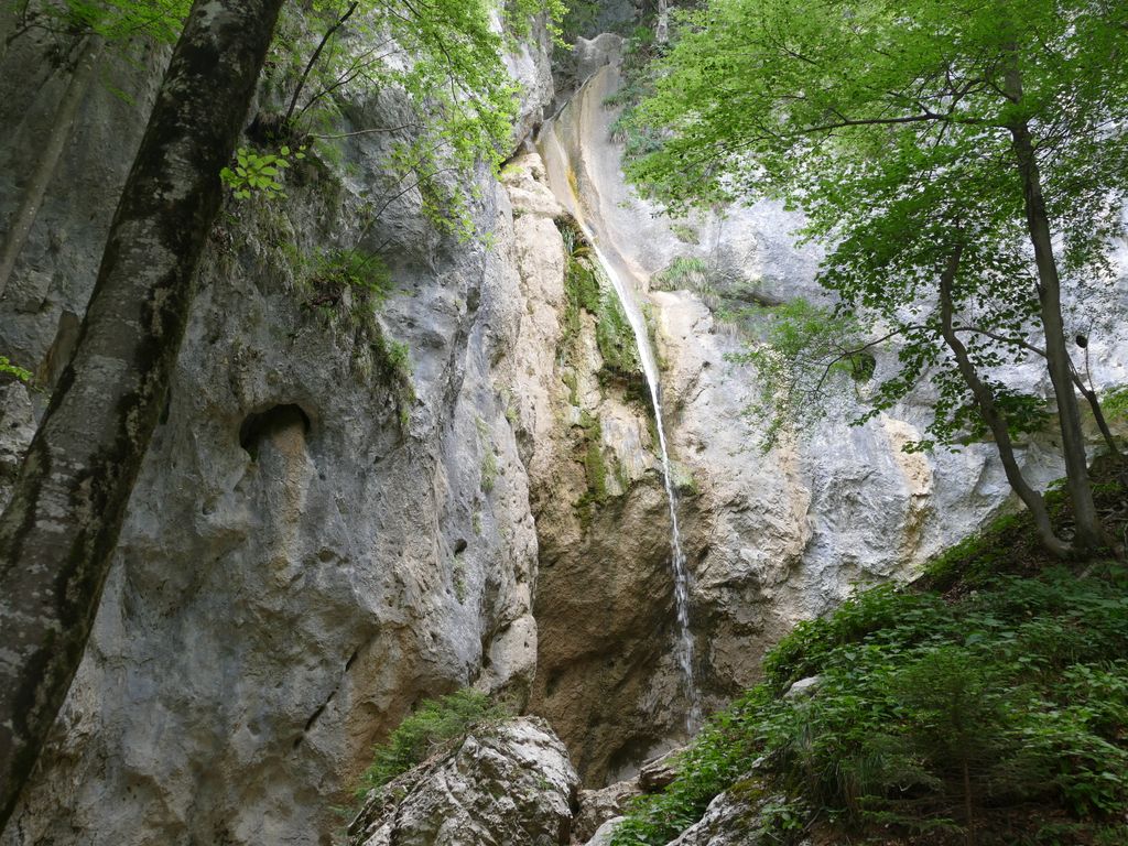 p1480517.jpg