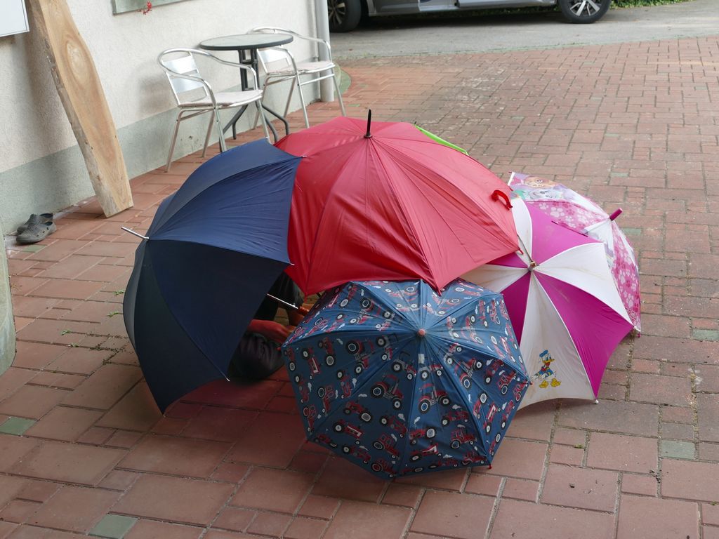 p1480556.jpg