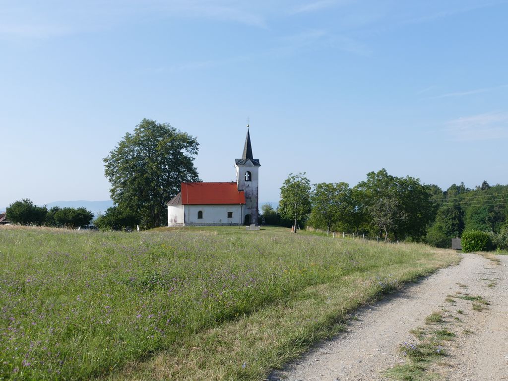 p1480639.jpg