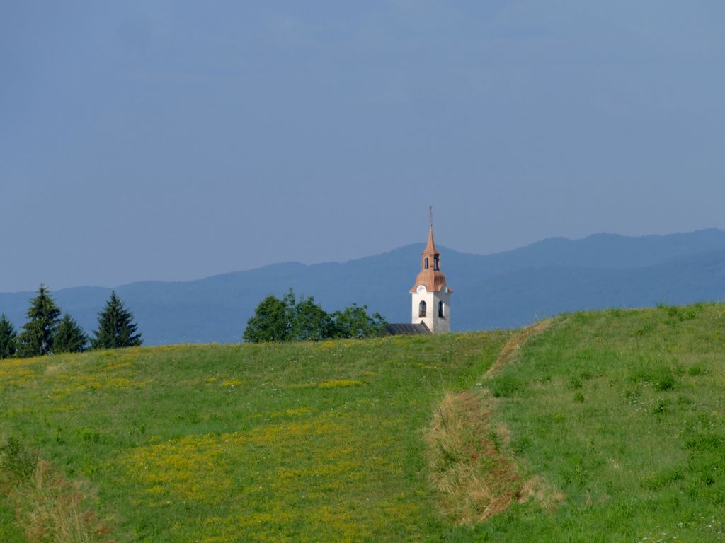 p1480641.jpg