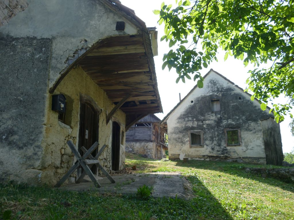 p1480642.jpg
