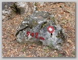 542 m Krašnji vrh