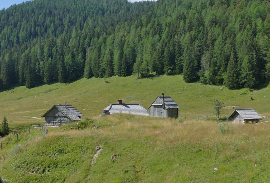 p1480765.jpg