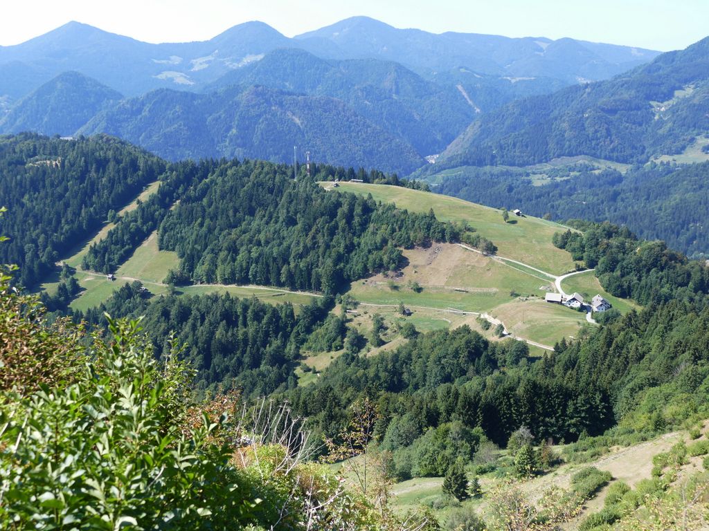 p1490013.jpg
