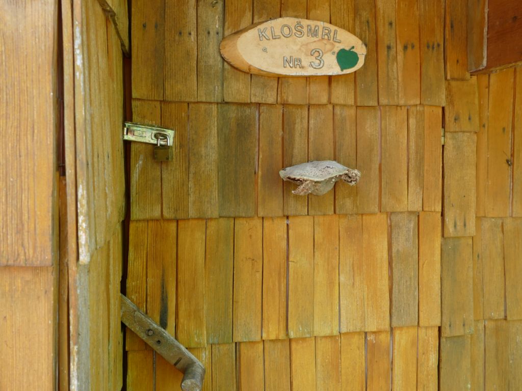 p1490036.jpg