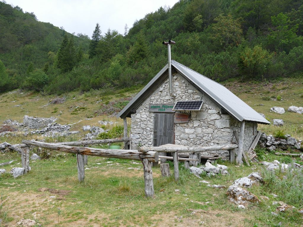 p1490188.jpg