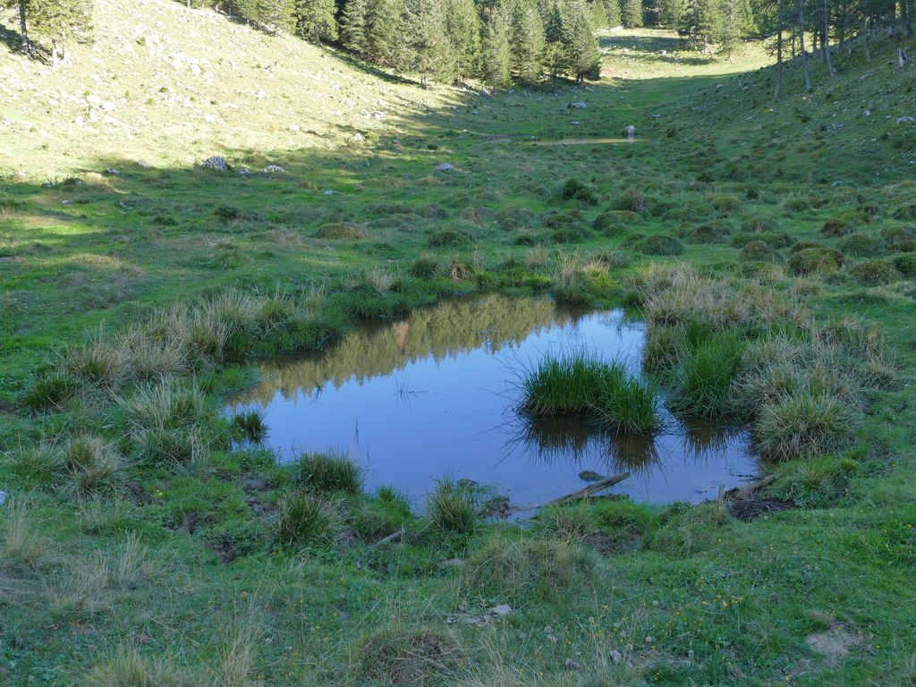 p1490231.jpg