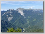 Košuta z Dobrče