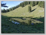 Podgorska planina na Dobrči