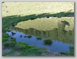 Podgorska planina na Dobrči