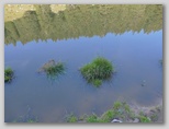 Podgorska planina na Dobrči