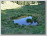 Podgorska planina na Dobrči