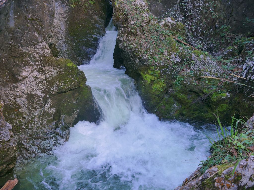 p1490751.jpg