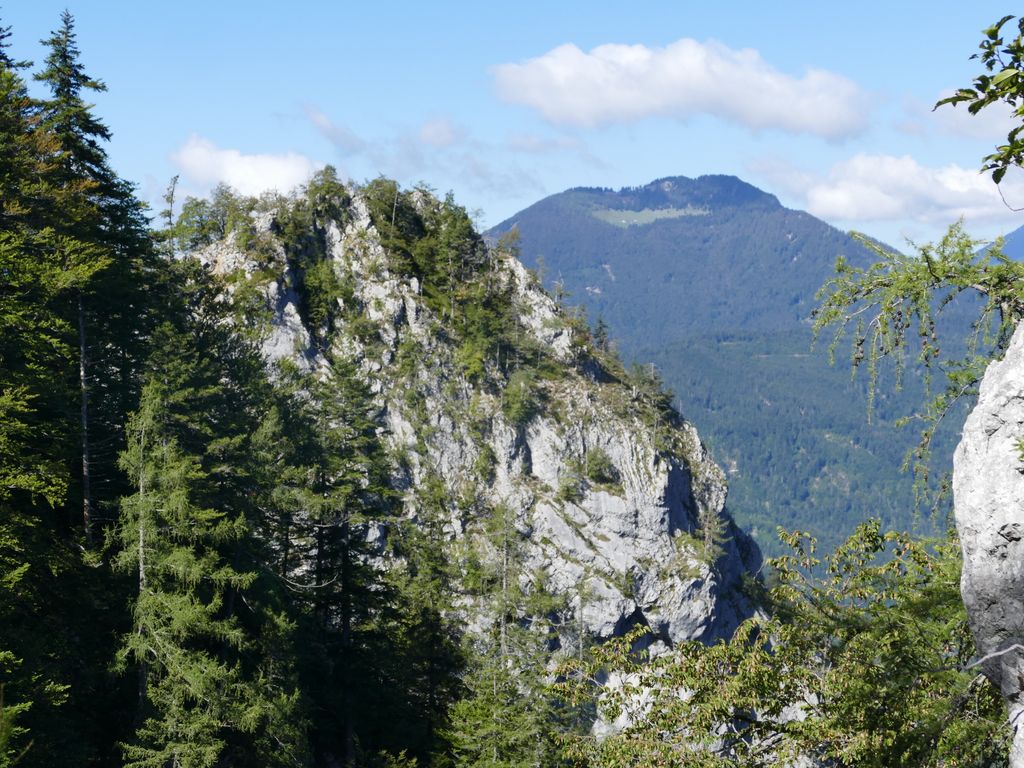 p1490763.jpg
