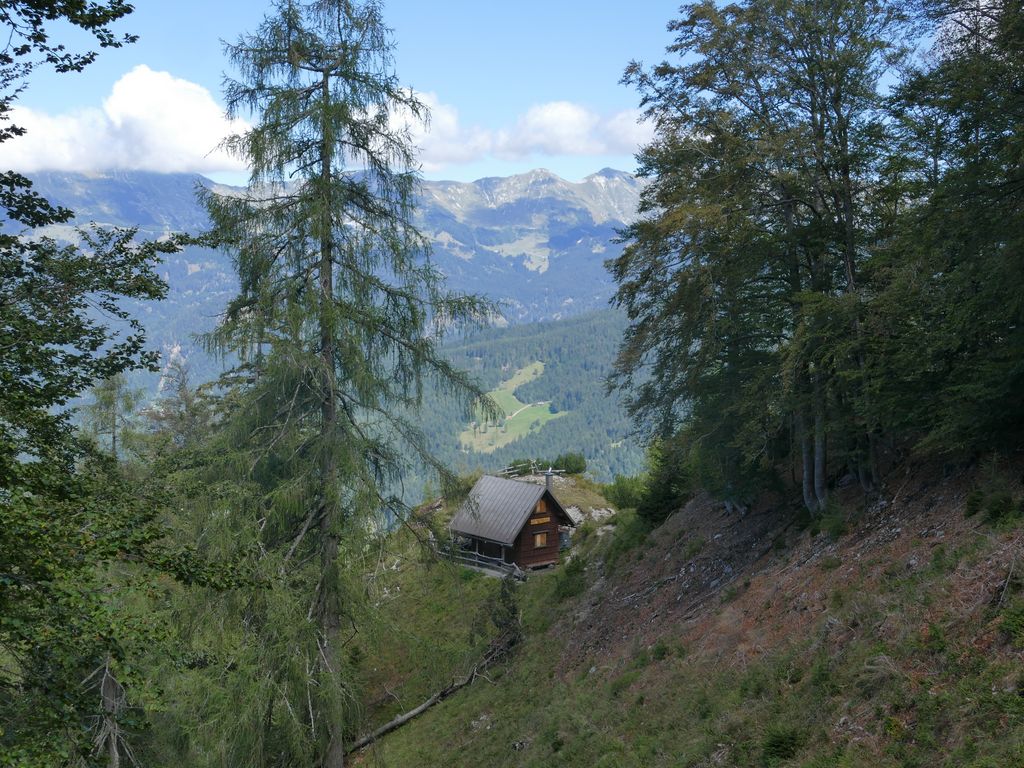 p1490778.jpg