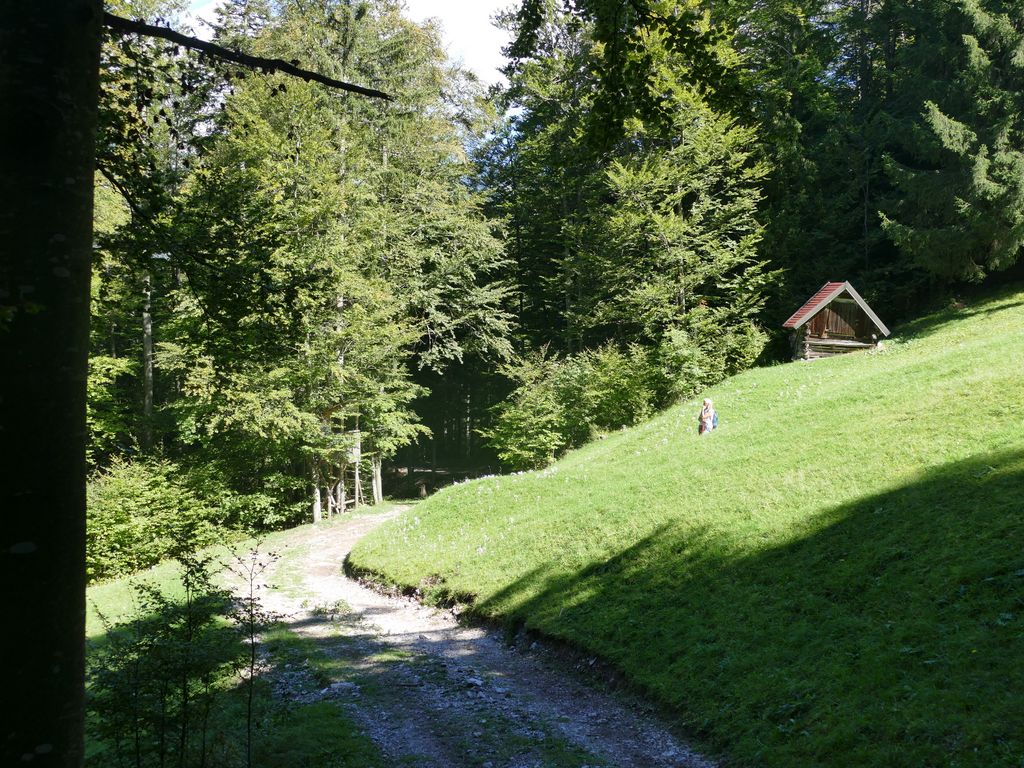 p1490782.jpg