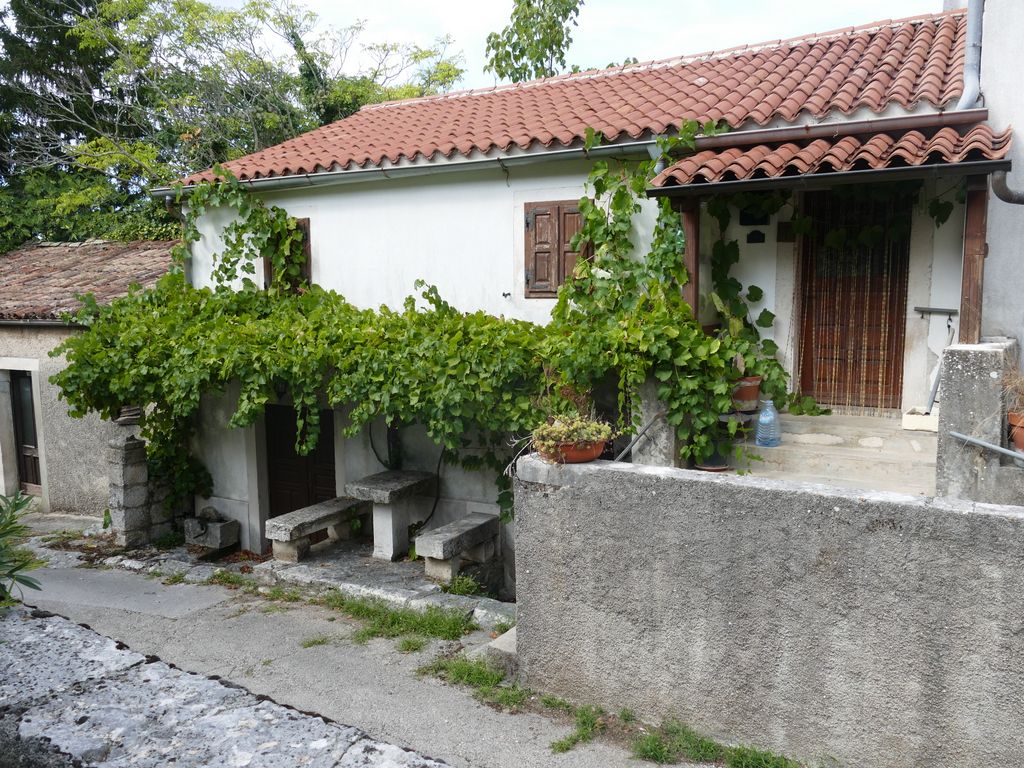p1490889.jpg