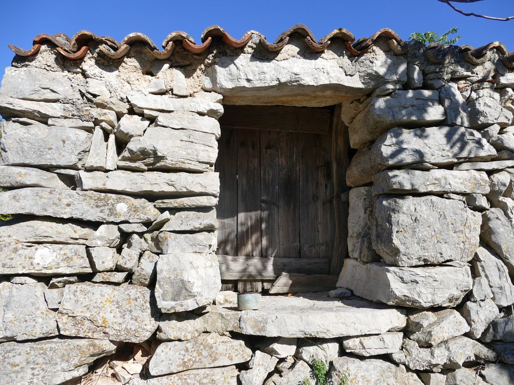 p1490951.jpg