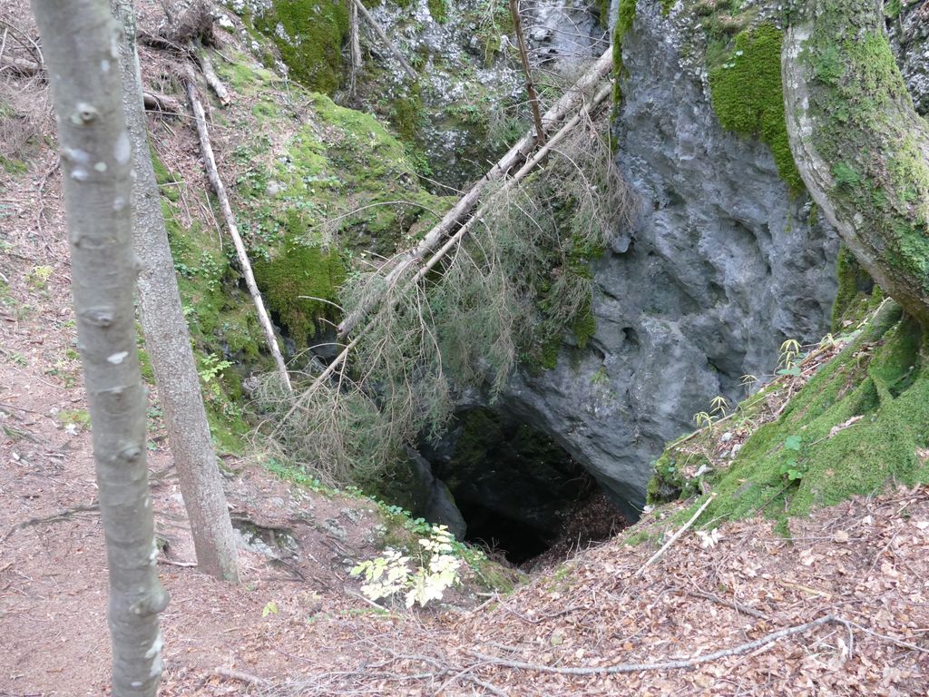 p1500086.jpg