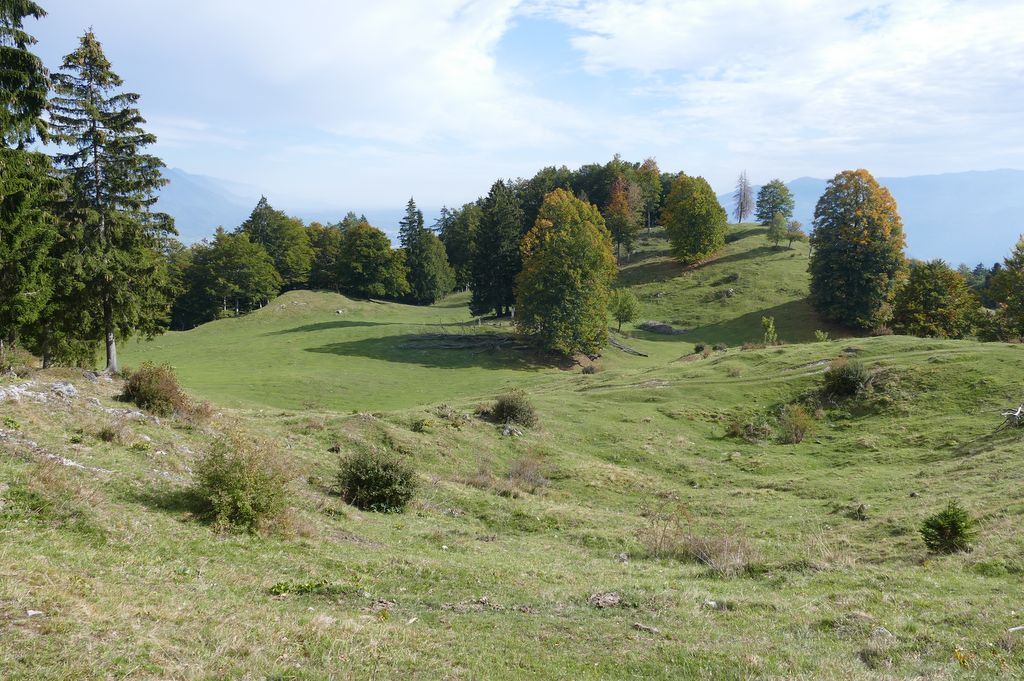 p1500093.jpg