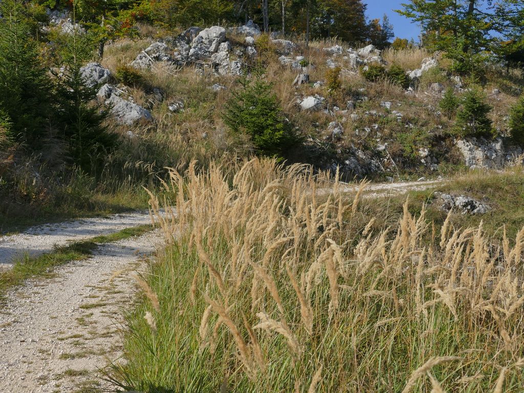 p1500107.jpg