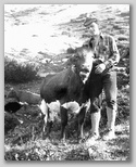 Tomo s kravo, 1972, planina Razor